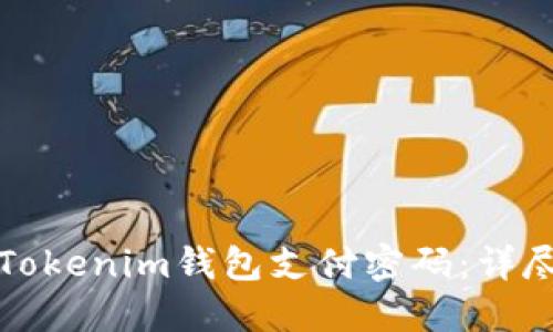 如何找回Tokenim钱包支付密码：详尽解决方案