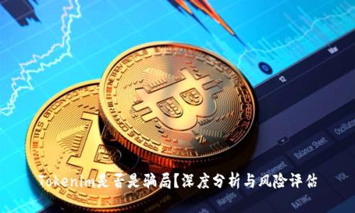 Tokenim是否是骗局？深度分析与风险评估