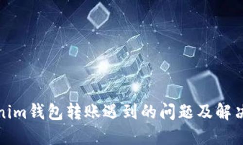 Tokenim钱包转账遇到的问题及解决方案