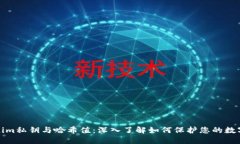 tokenim私钥与哈希值：深入了解如何保护您的数字