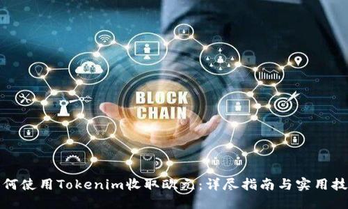 如何使用Tokenim收取欧元：详尽指南与实用技巧