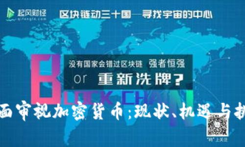 全面审视加密货币：现状、机遇与挑战