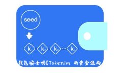 Tokenim 钱包安全吗？Tokenim 的资金流向与使用解析