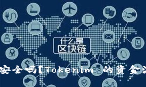 Tokenim 钱包安全吗？Tokenim 的资金流向与使用解析