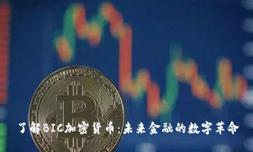 了解BIC加密货币：未来金融的数字革命