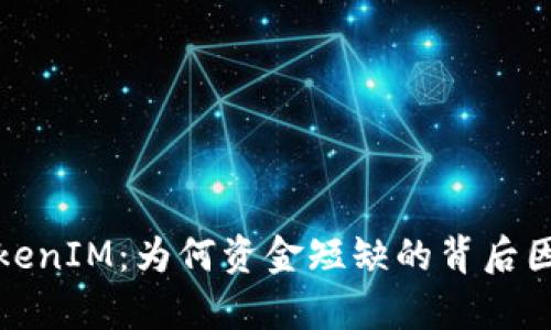 探秘TokenIM：为何资金短缺的背后因素分析