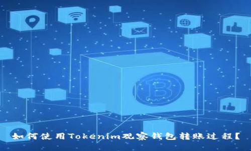 如何使用Tokenim观察钱包转账过程？