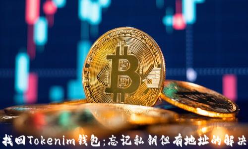 
如何找回Tokenim钱包：忘记私钥但有地址的解决方案