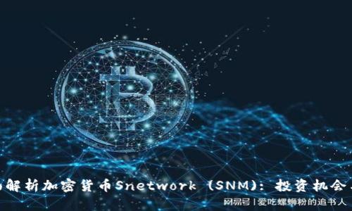 : 全面解析加密货币Snetwork (SNM): 投资机会与风险