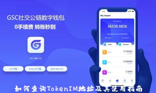 
如何查询TokenIM地址及其使用指南