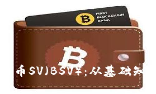 深入了解比特币SV（BSV）：从基础知识到未来展望