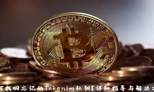 
如何找回忘记的Tokenim私钥？详细指导与解决方案