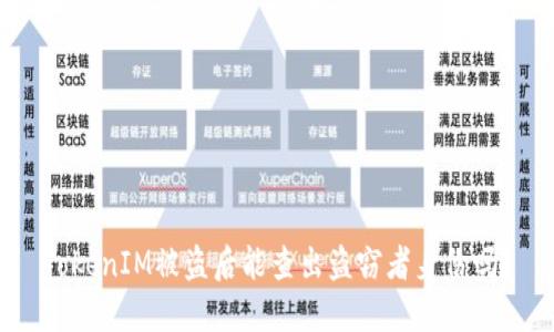 TokenIM被盗后能查出盗窃者身份吗？