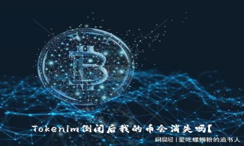 Tokenim倒闭后我的币会消失吗？