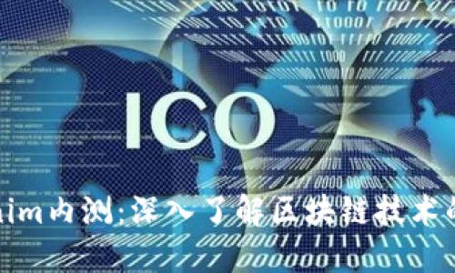 Tokenim内测：深入了解区块链技术的未来