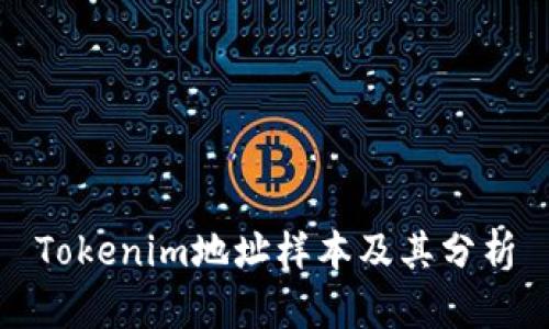 Tokenim地址样本及其分析