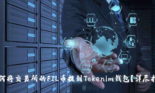 如何将交易所的FIL币提到Tokenim钱包？详尽指南