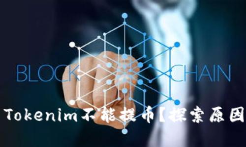 苹果为什么Tokenim不能提币？探索原因与解决方案