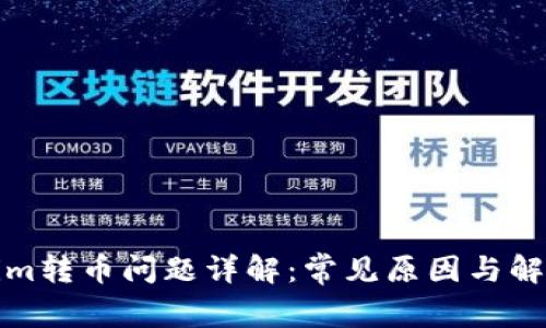 tokenim转币问题详解：常见原因与解决方案