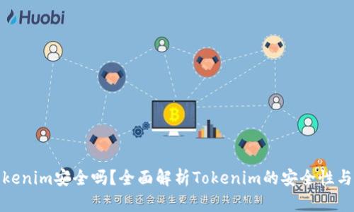 资金藏Tokenim安全吗？全面解析Tokenim的安全性与风险规避