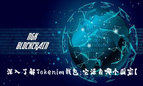 深入了解Tokenim钱包：它源自哪个国家？