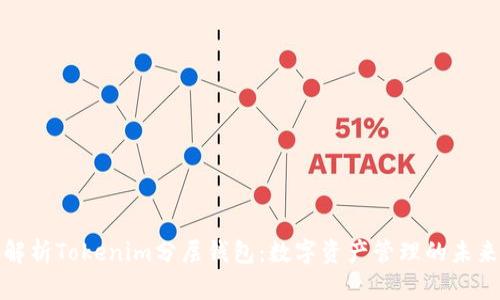 深入解析Tokenim分层钱包：数字资产管理的未来之选