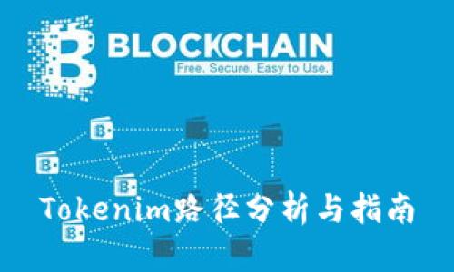 Tokenim路径分析与指南