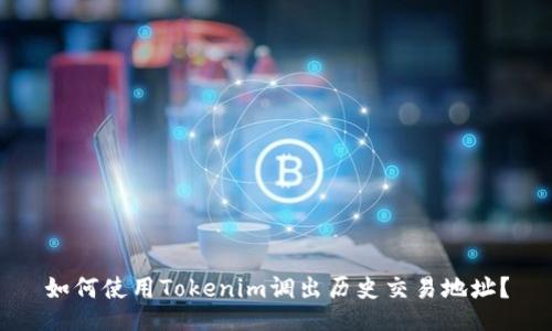 如何使用Tokenim调出历史交易地址？