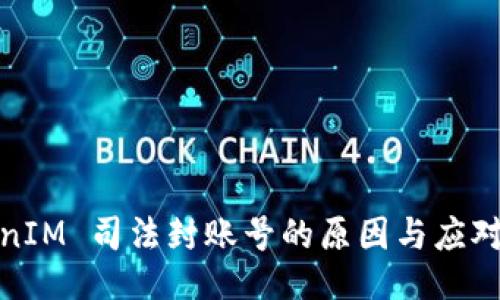 TokenIM 司法封账号的原因与应对策略