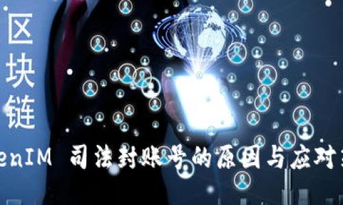 TokenIM 司法封账号的原因与应对策略