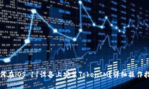 如何在iOS 11设备上安装TokenIM？详细操作指南