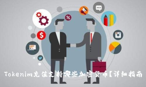Tokenim充值支持哪些加密货币？详细指南