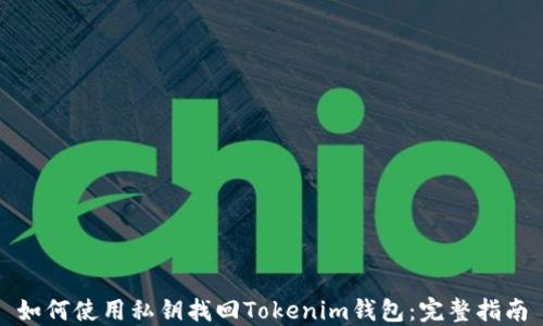 
如何使用私钥找回Tokenim钱包：完整指南