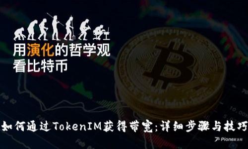 如何通过TokenIM获得带宽：详细步骤与技巧