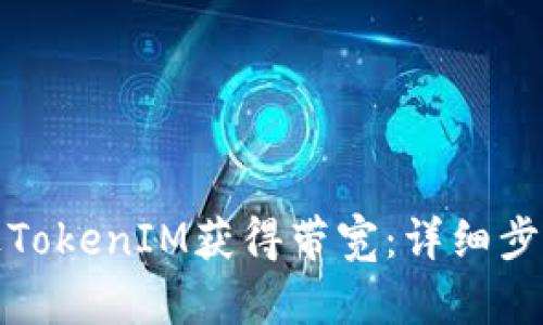 如何通过TokenIM获得带宽：详细步骤与技巧