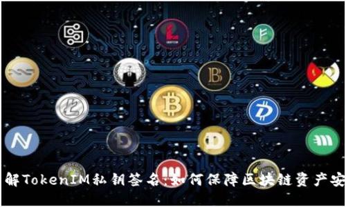 了解TokenIM私钥签名：如何保障区块链资产安全