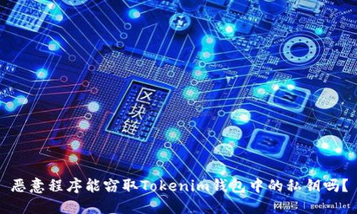 恶意程序能窃取Tokenim钱包中的私钥吗？