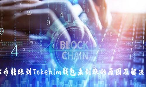MDX币转账到Tokenim钱包未到账的原因及解决方案