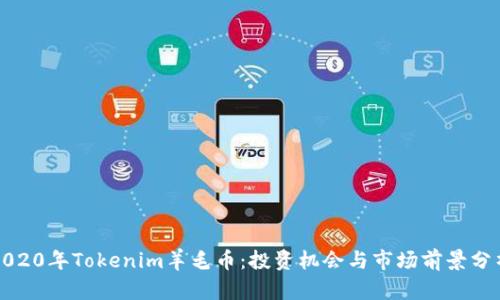 2020年Tokenim羊毛币：投资机会与市场前景分析