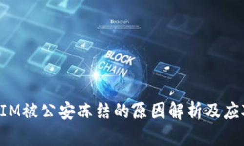 TokenIM被公安冻结的原因解析及应对策略