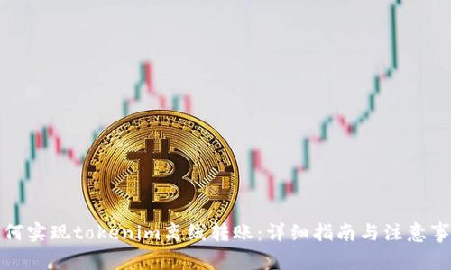 如何实现tokenim离线转账：详细指南与注意事项