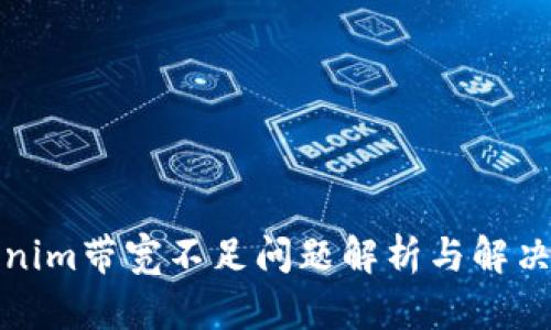 Tokenim带宽不足问题解析与解决方案