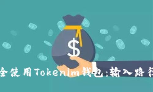 如何安全使用Tokenim钱包：输入路径的指南