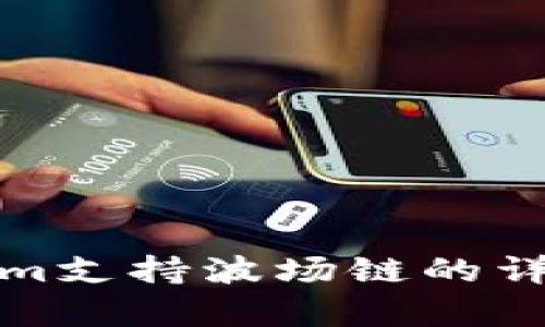 Tokenim支持波场链的详细解析