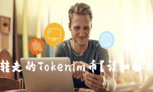 如何找回被转走的Tokenim币？详细解析与步骤指南