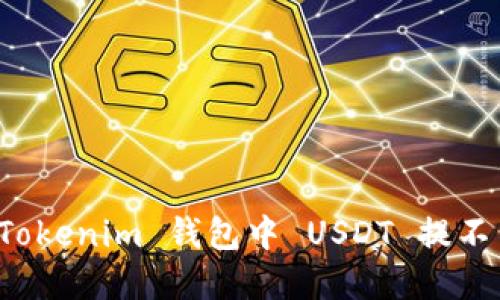 如何解决 Tokenim 钱包中 USDT 提不出来的问题