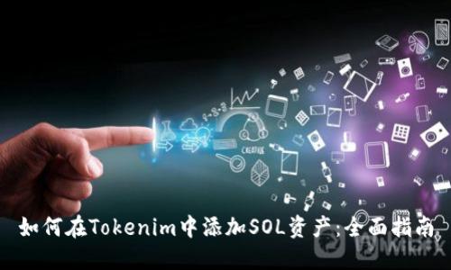 如何在Tokenim中添加SOL资产：全面指南
