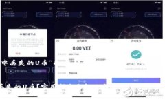 以下是关于“TokenIM中丢失