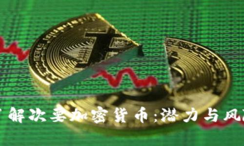 深入了解次要加密货币：潜力与风险分析