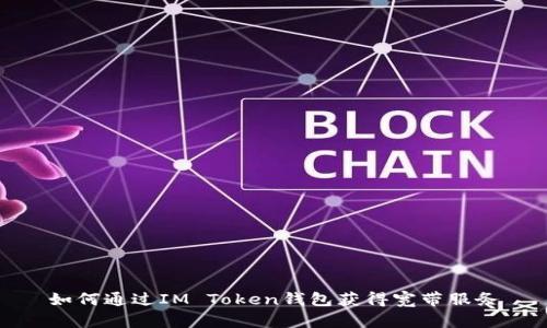 如何通过IM Token钱包获得宽带服务